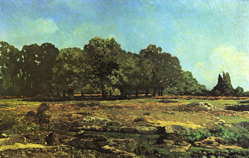 Alfred Sisley Avenue of Chestnut Trees near La Celle-Saint-Cloud china oil painting image